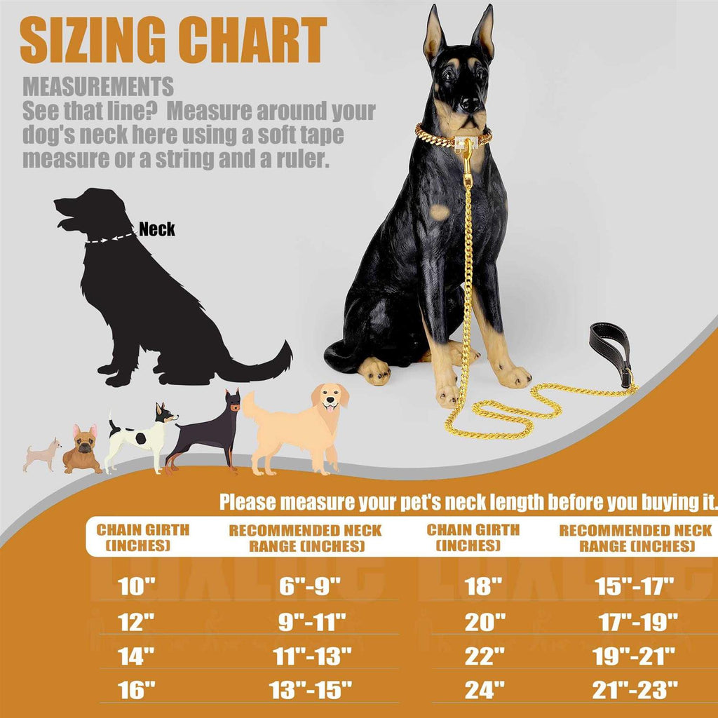 Gold Chain Dog Collar Stainless Steel W82110