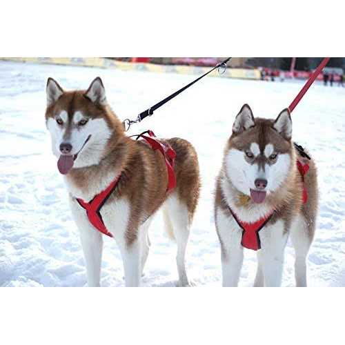 Dog Pulling Harness Z570