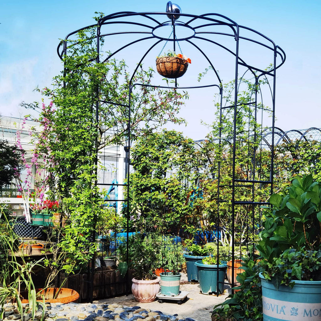 Iron Birdcage-Shaped Metal Garden Arch G767208
