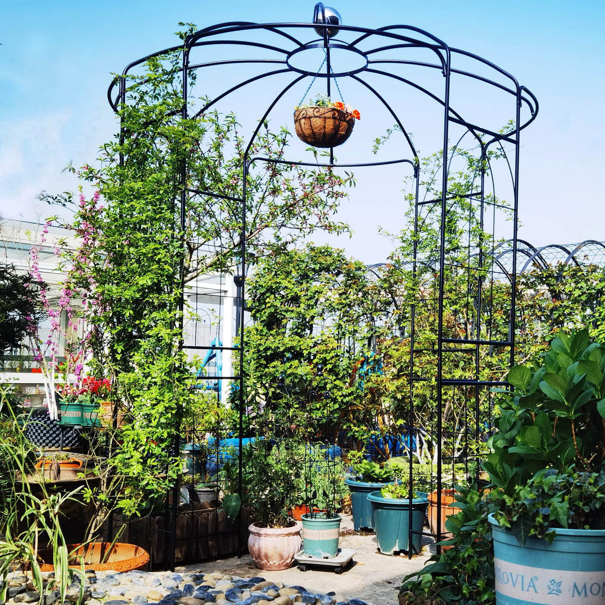 Iron Birdcage-Shaped Metal Garden Arch G767208