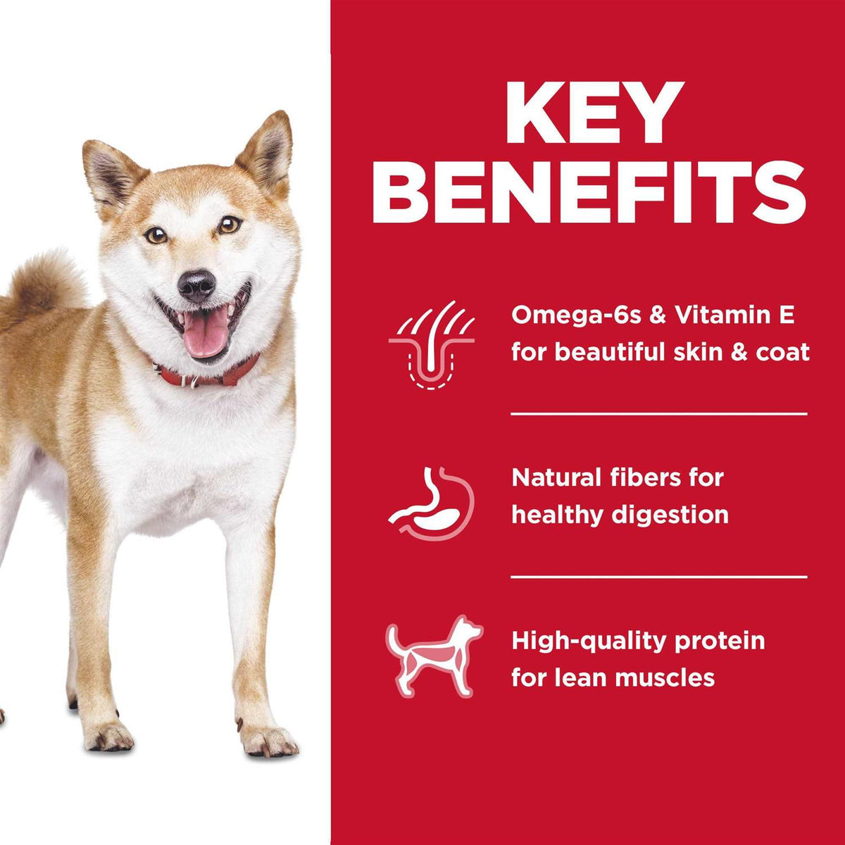 Chicken Dry Dog Food Z768
