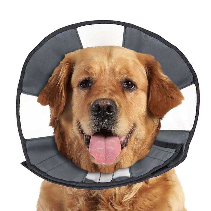 Soft Recovery Collar S249242