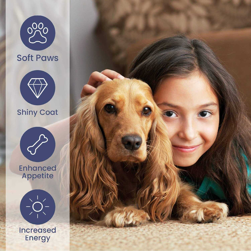 Salmon Oil for Dogs Cats Omega 3 Fish Oil Liquid Supplement M381