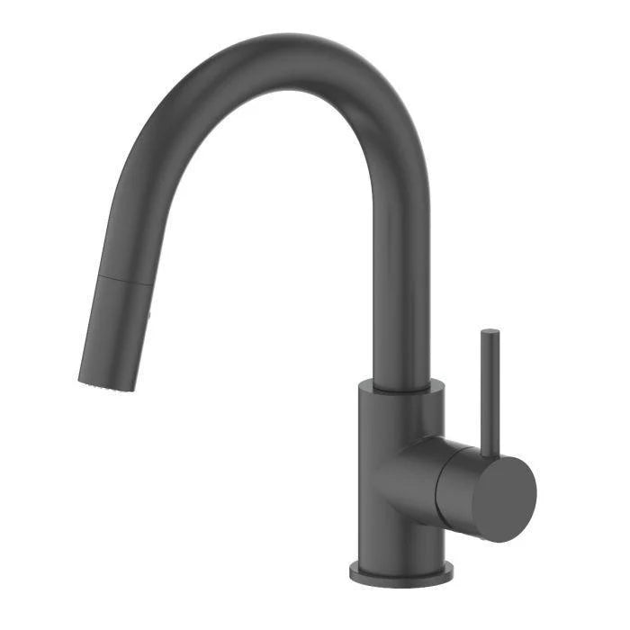 Electric Black Matte Kitchen Faucet S89541