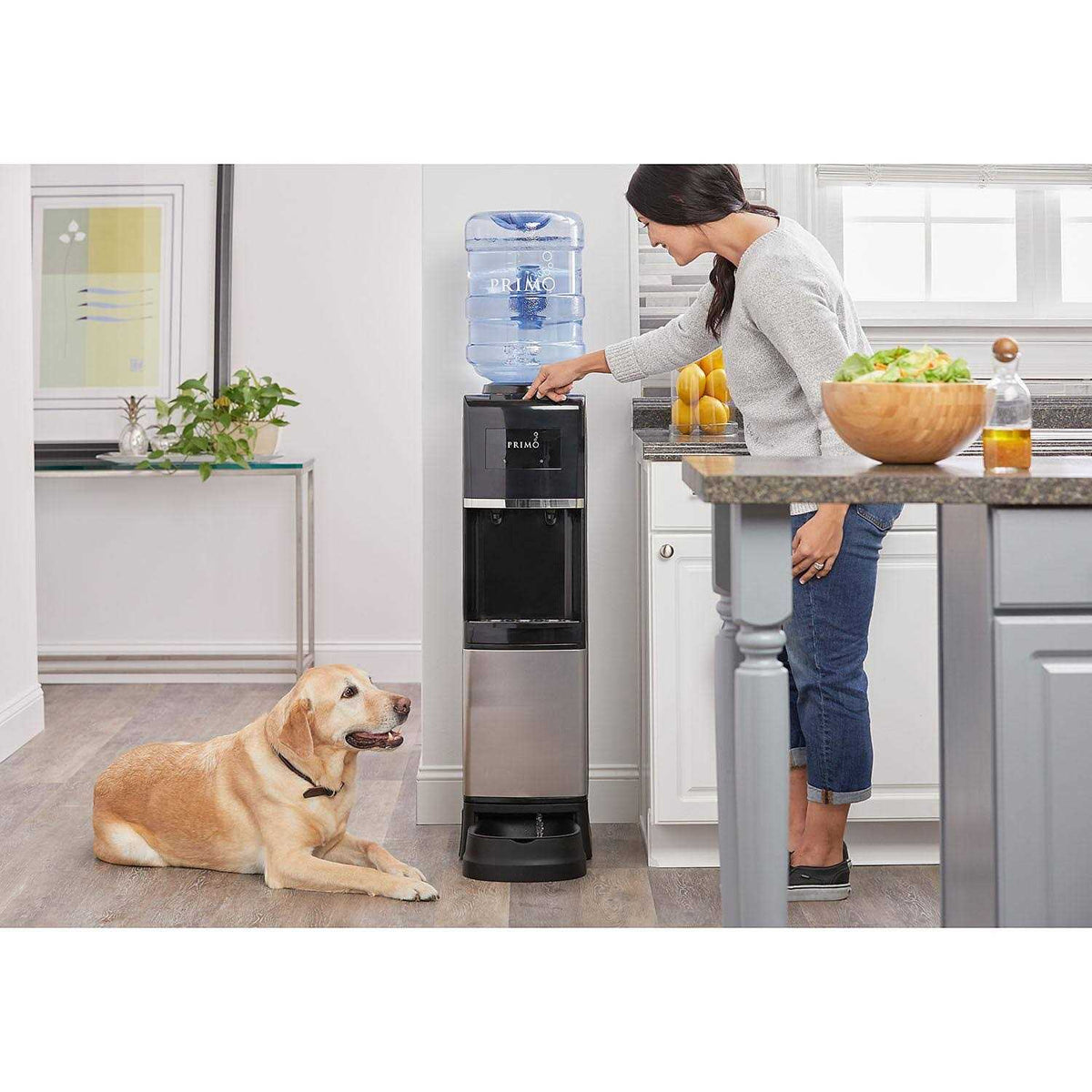 Top Loading Hot/Cold Water Dispenser Y764969