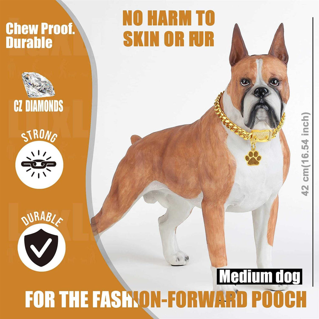 Gold Chain Dog Collar Stainless Steel W82110