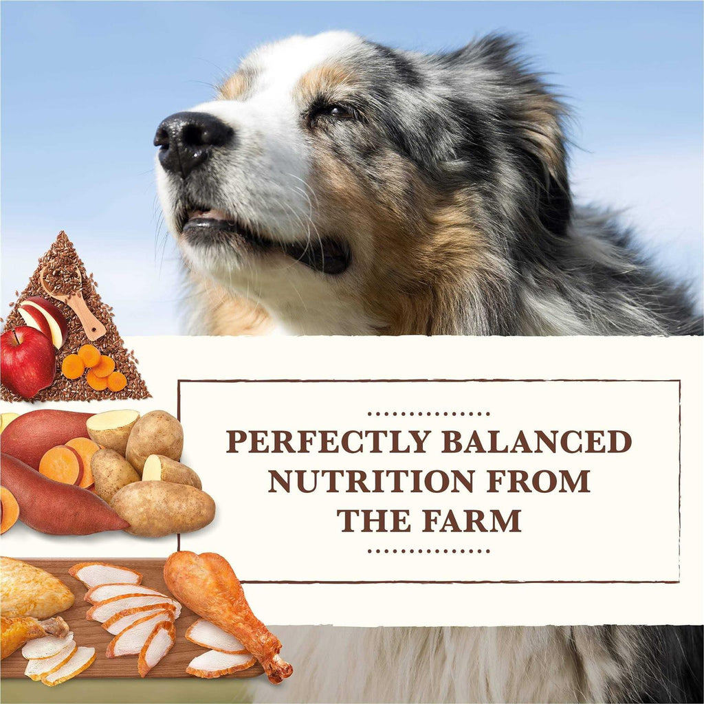 Grain Free Chicken Turkey Recipe Dry Dog Food K100485