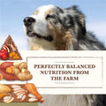 Grain Free Chicken Turkey Recipe Dry Dog Food K100485