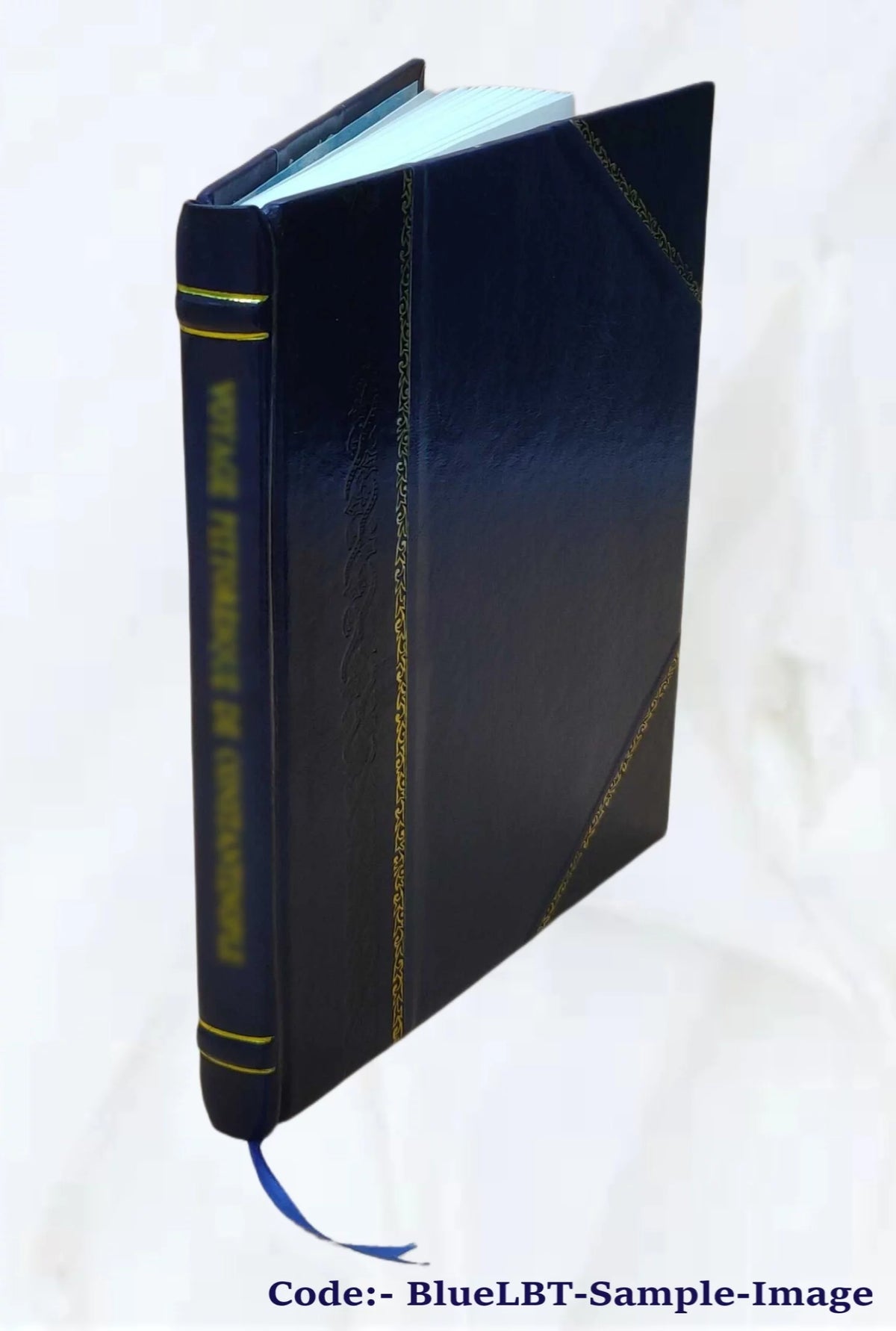 Computers and Market Simulation Leather Bound P372