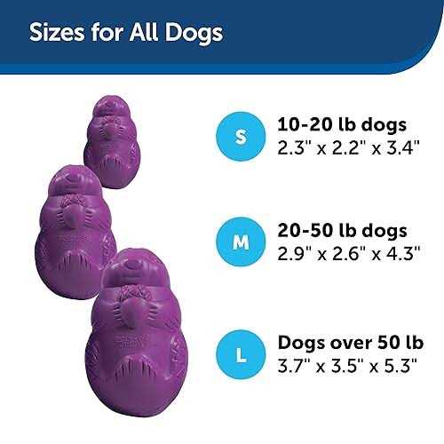 Squirrel Dude Dog Toy Z6217