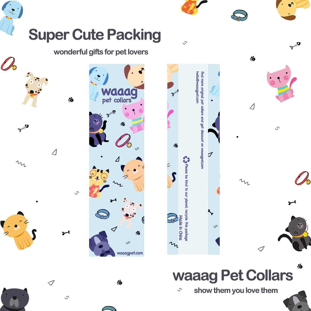 Cat Collar Dog Collar Cat Leash N822