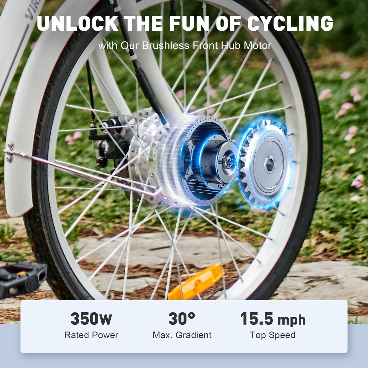24 Inch 350W Electric Tricycle D201