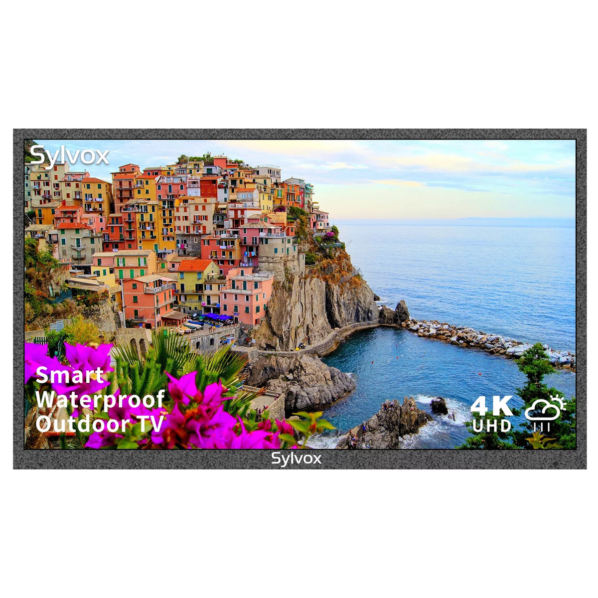 43 inch 4K UHD IP55 Waterproof Outdoor Smart TV P397
