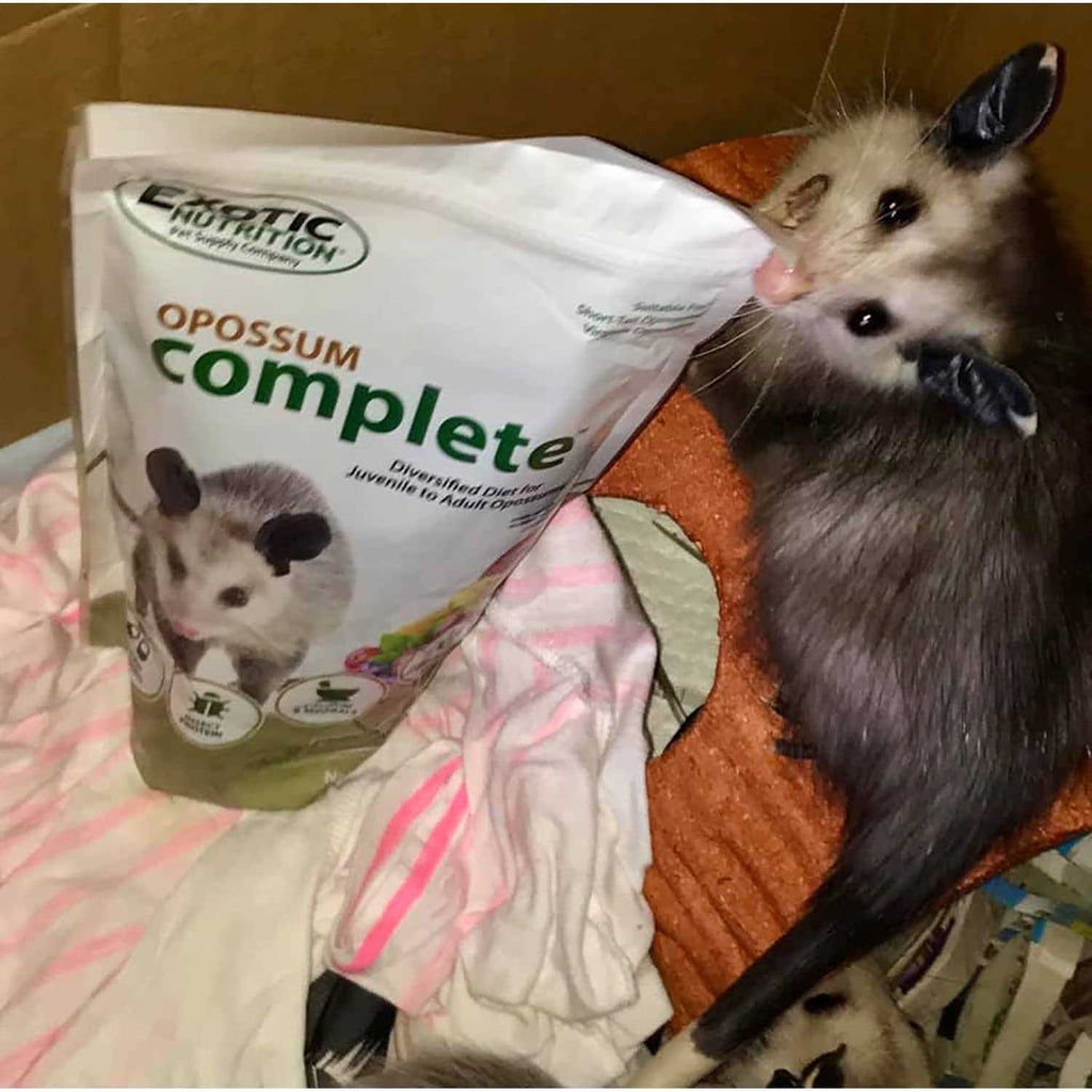 Opossum Complete Food F446050