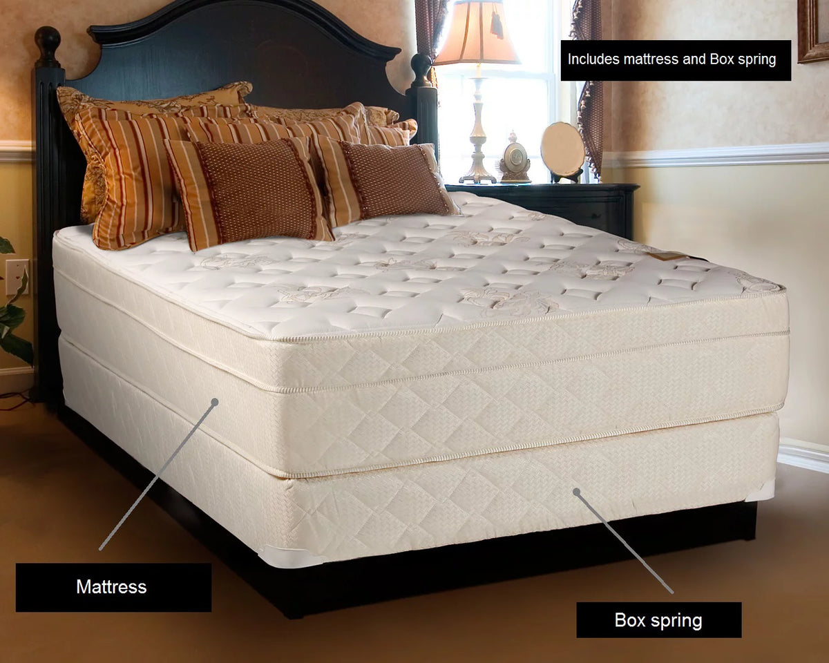 King Firm Foam Eurotop Mattress and Box Spring Set M811