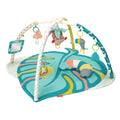 4-in-1 Activity Gym & Play Mat X3279