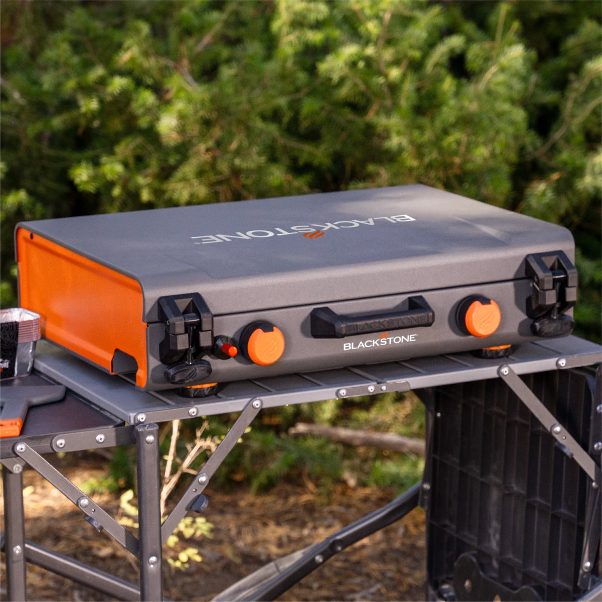 2-Burner Propane Camping Griddle with Hood and Handle Y43014