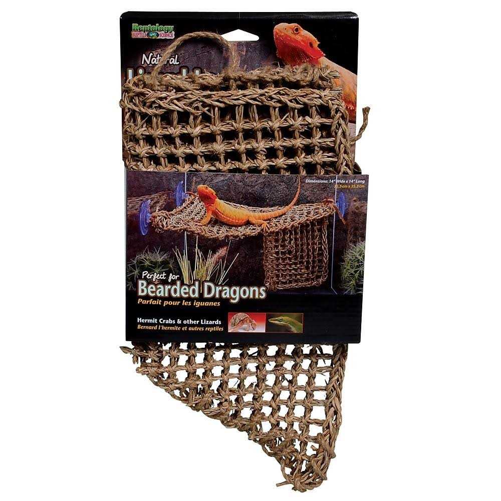 Lizard Lounger Y89977