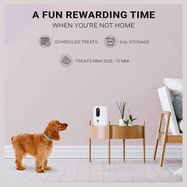 Snack Treat Dispenser L206915