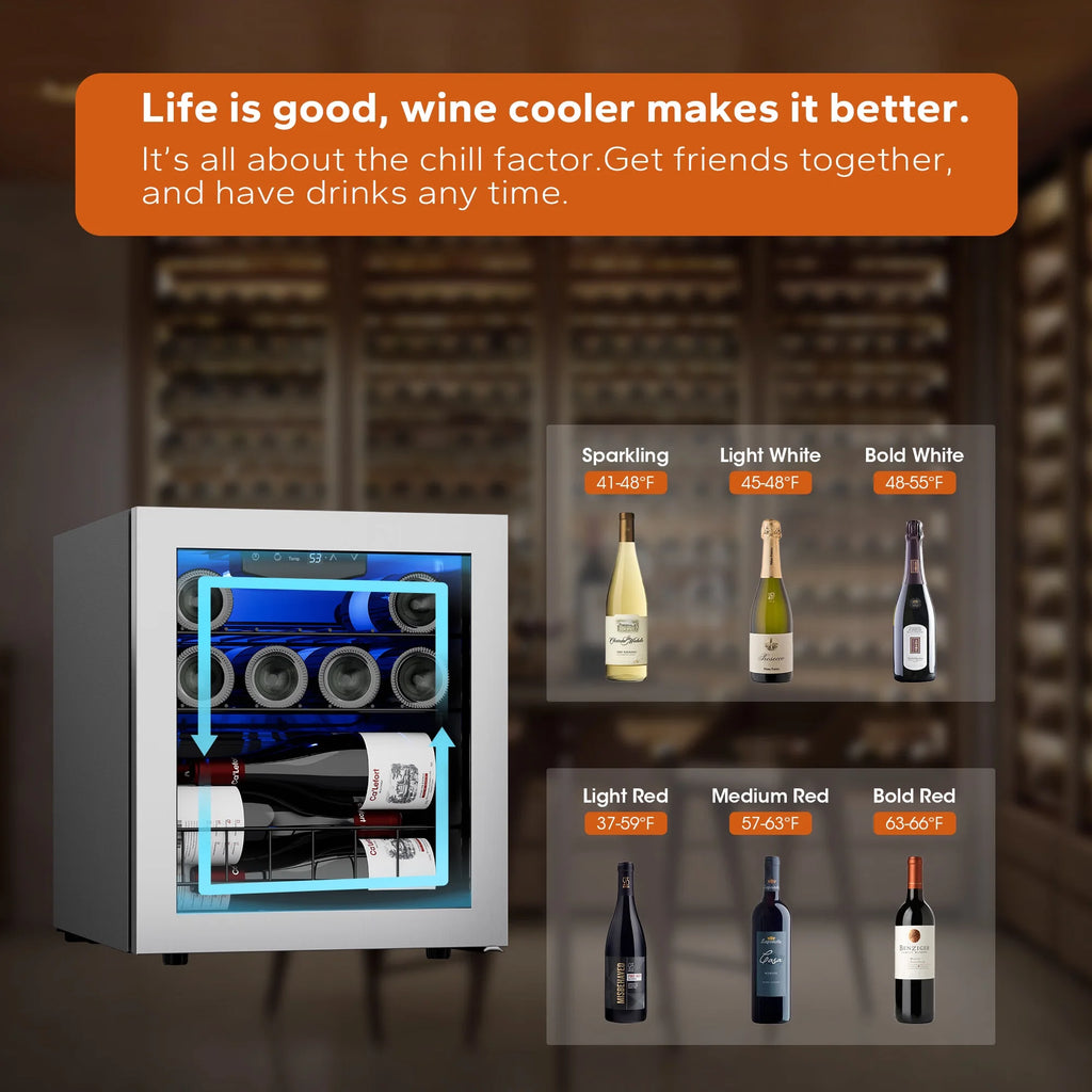 12 Bottle Mini Wine Fridge with Glass Door T6416