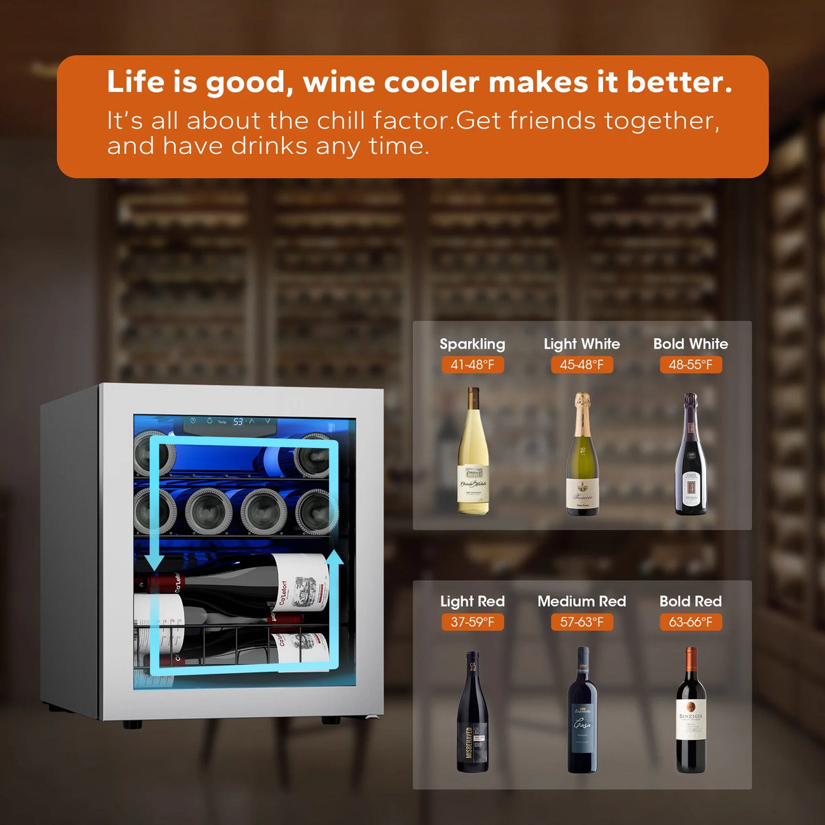 12 Bottle Mini Wine Fridge with Glass Door T6416