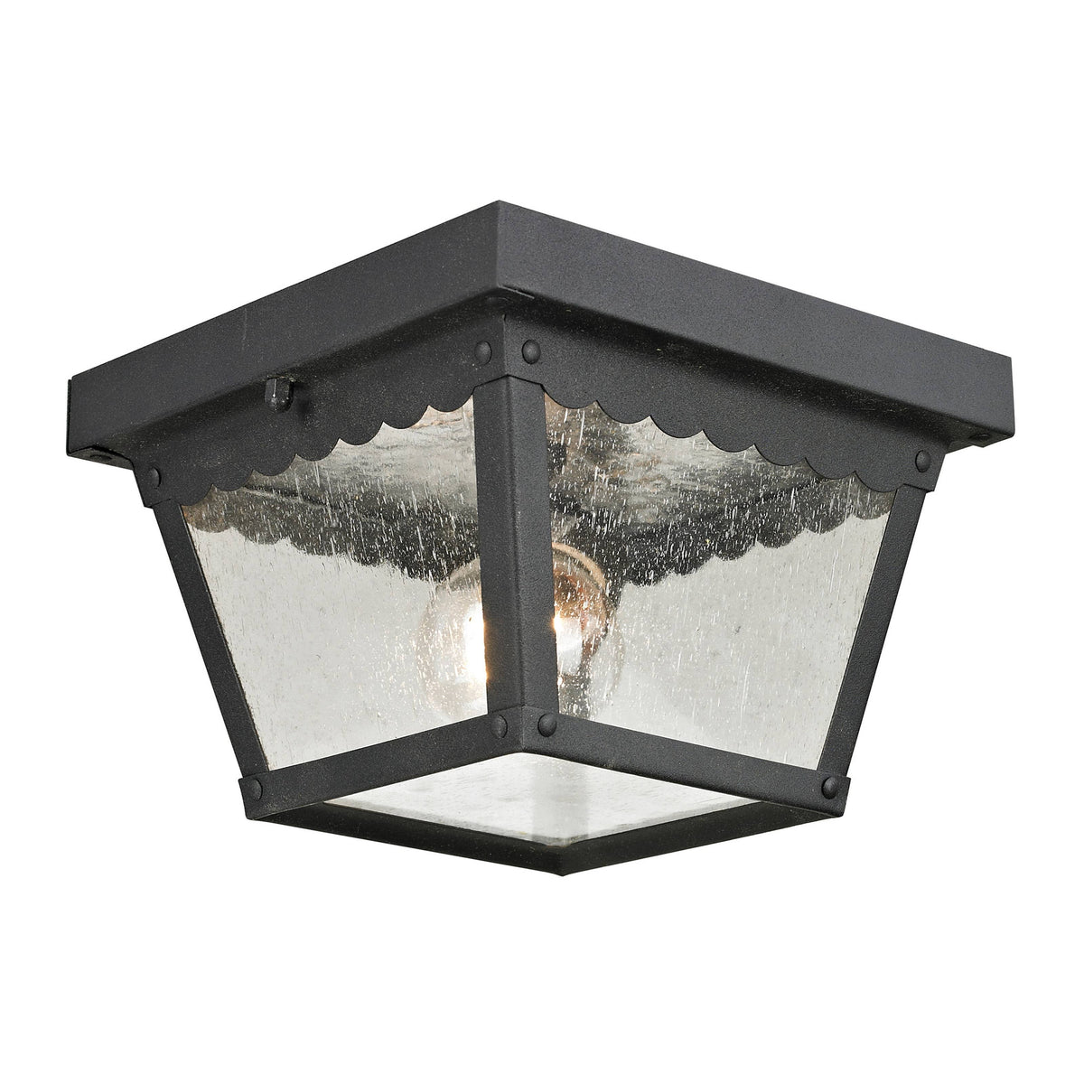 Matte Textured Black 2 Light Flush Mount I62450