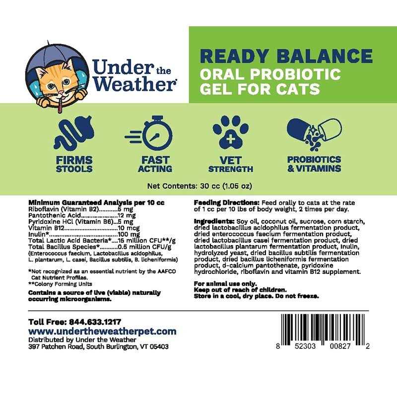 Ready Balance for Cats H4376