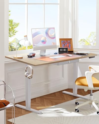 Electric Standing Desk with Drawer, 48 x 24 Adjustable Standing Desk with Storage I153