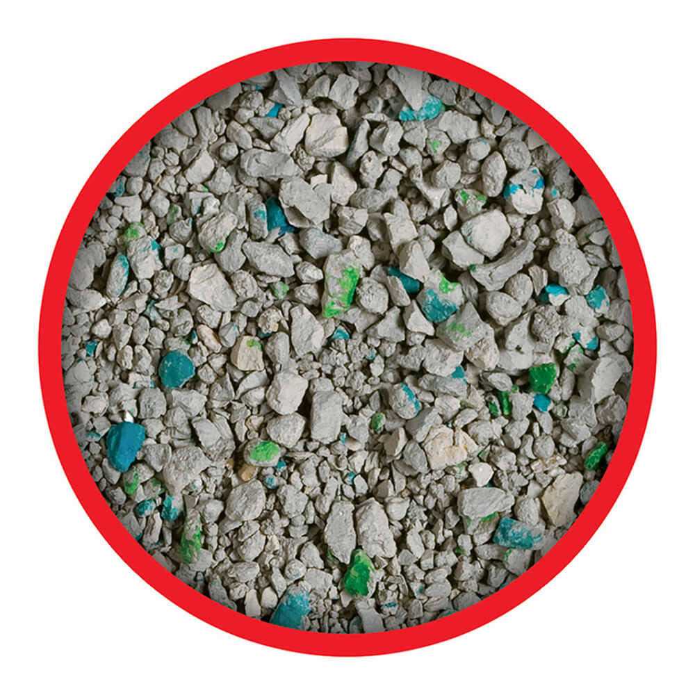 Non Clumping Cat Litter W513543