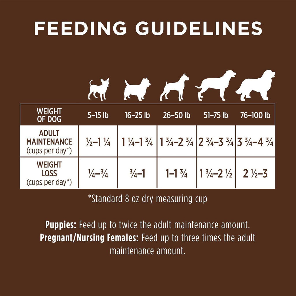 Chicken & Brown Rice Recipe Dry Dog Food F78173