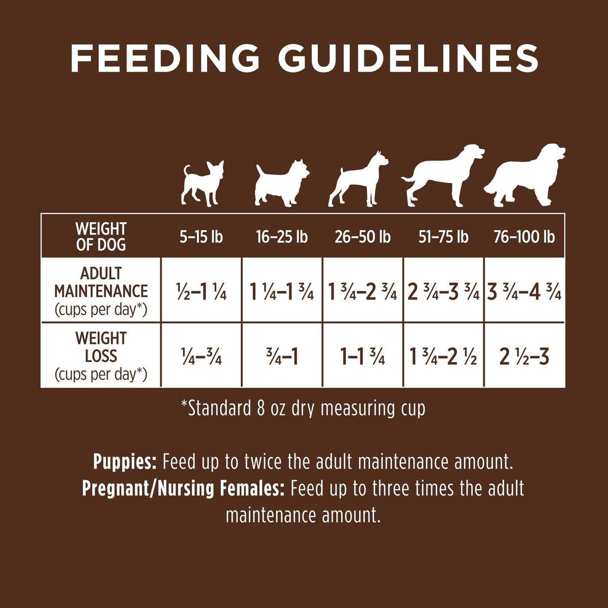 Chicken & Brown Rice Recipe Dry Dog Food F78173