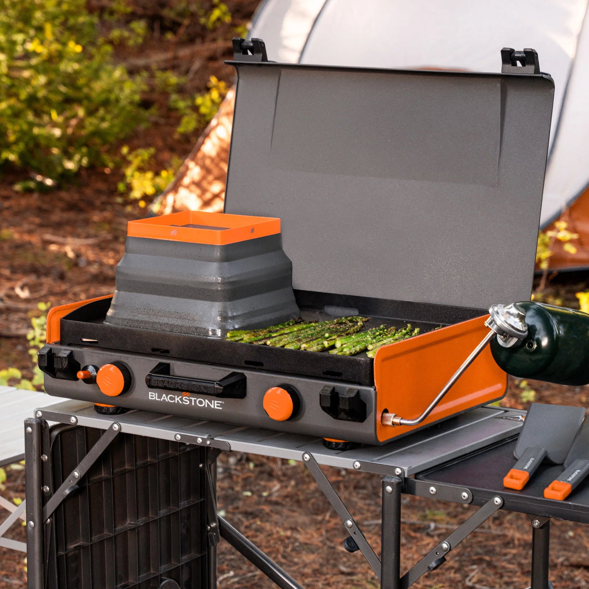 2-Burner Propane Camping Griddle with Hood and Handle Y43014