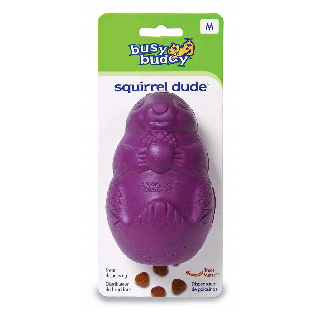 Squirrel Dude Dog Toy Z6217