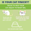 Ready Balance for Cats H4376