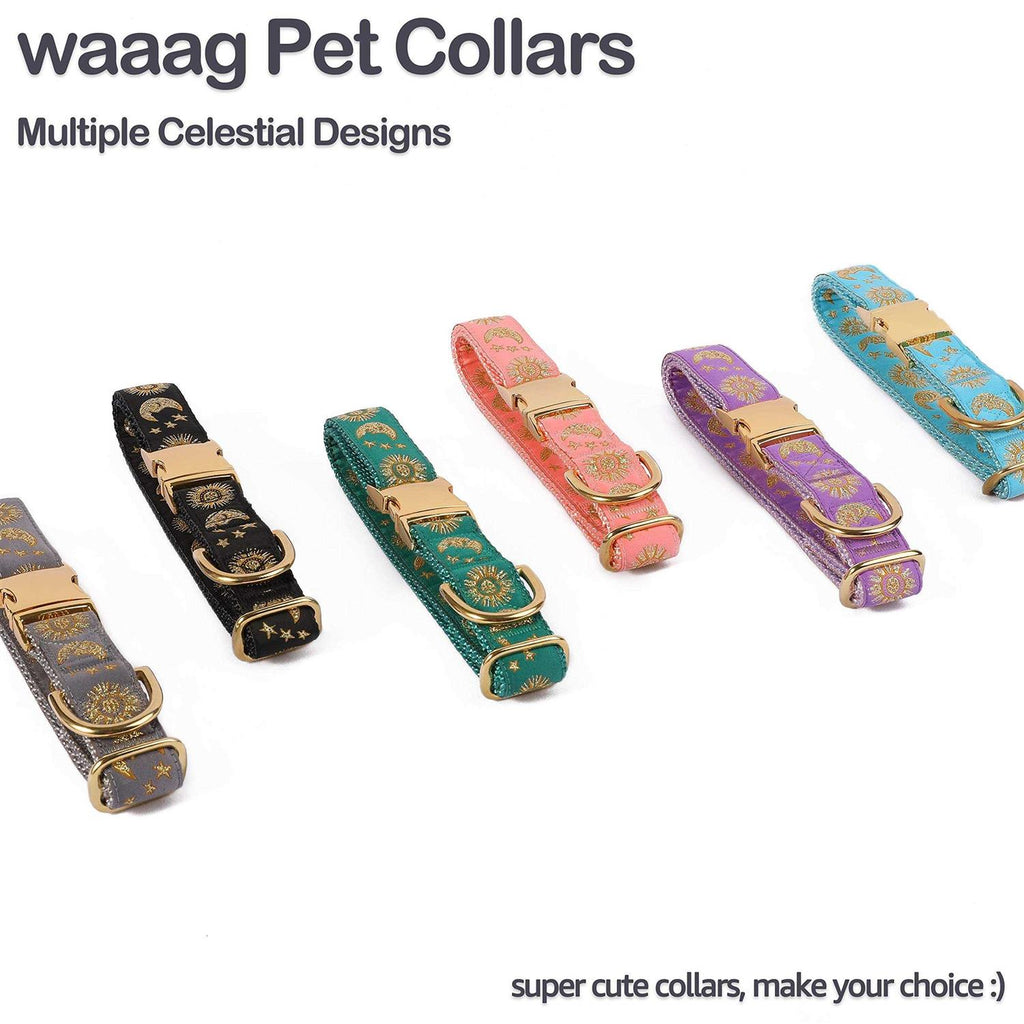 Cat Collar Dog Collar Cat Leash N822