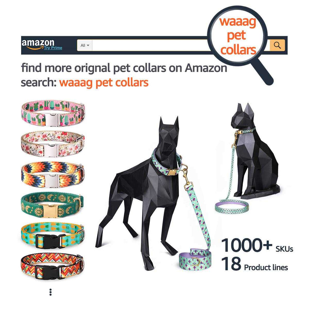 Cat Collar Dog Collar Cat Leash N822