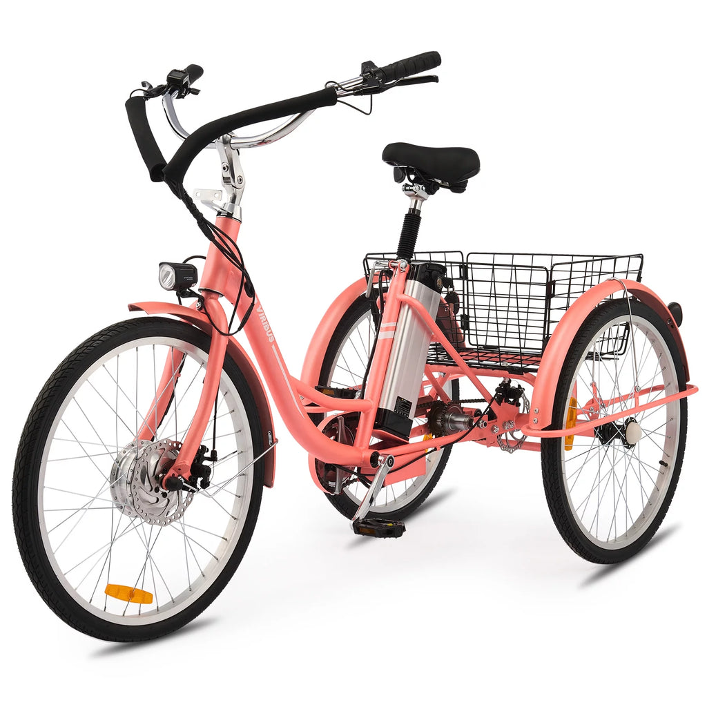 24 Inch 350W Electric Tricycle D201