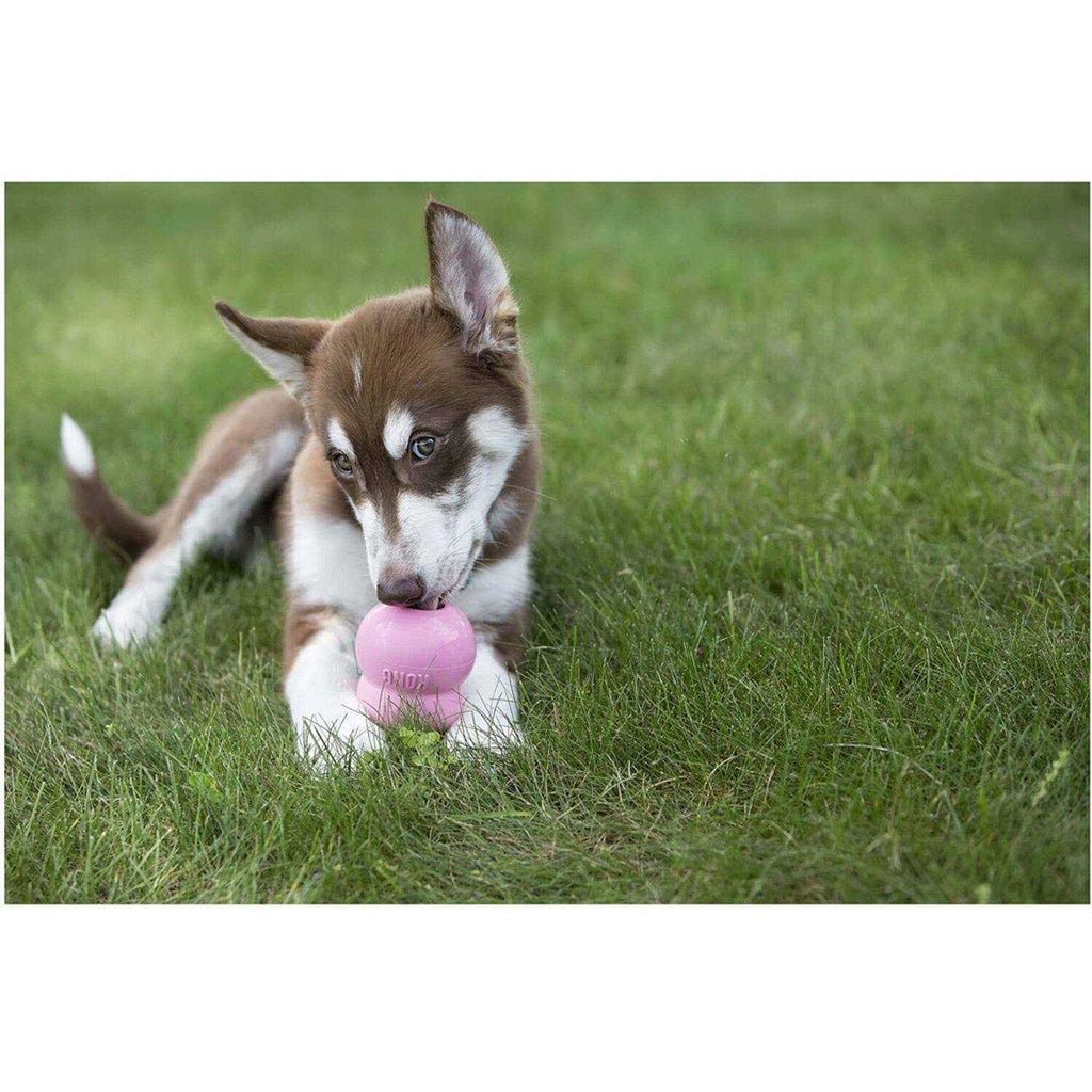 Pet Supplies C4420
