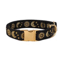 Cat Collar Dog Collar Cat Leash N822