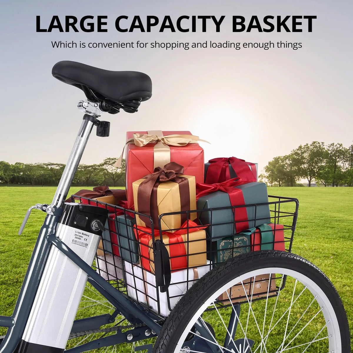 250W 36V 7 Speeds Folding Electric Tricycle B959