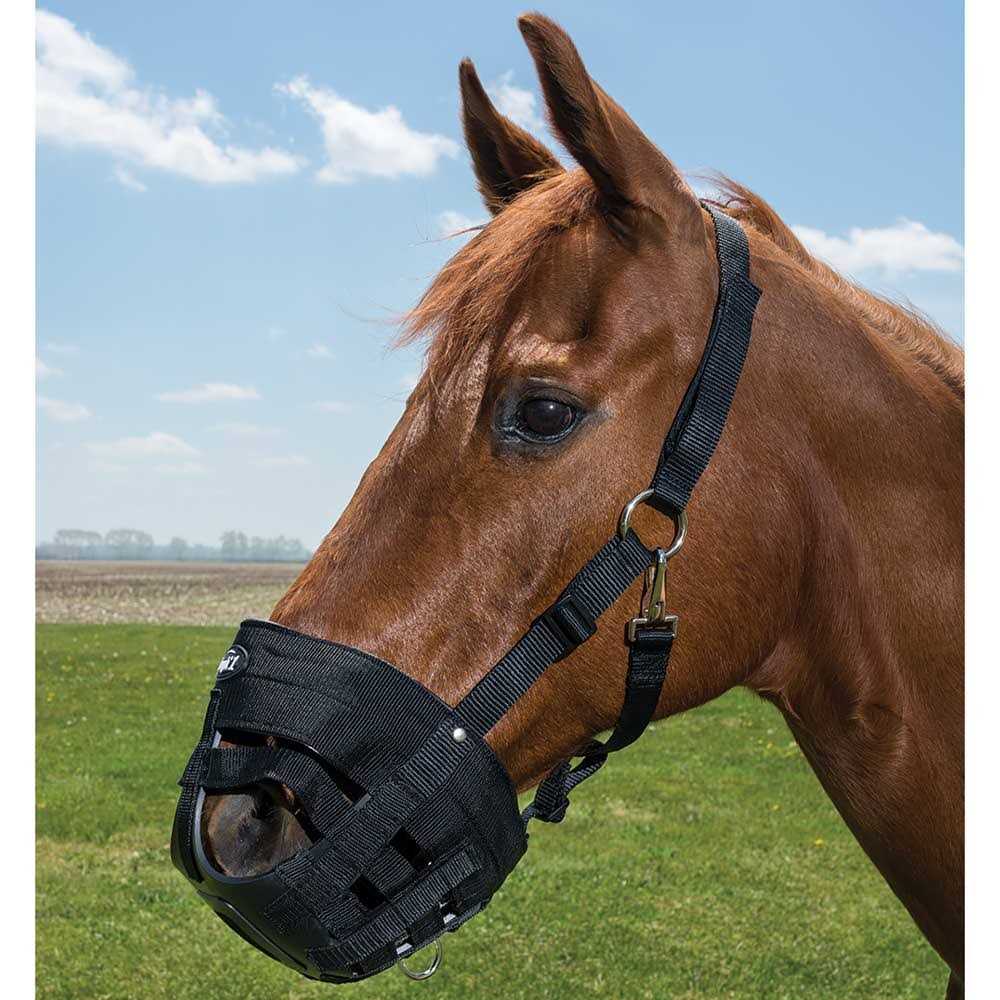 Poly Grazing Muzzle N9832