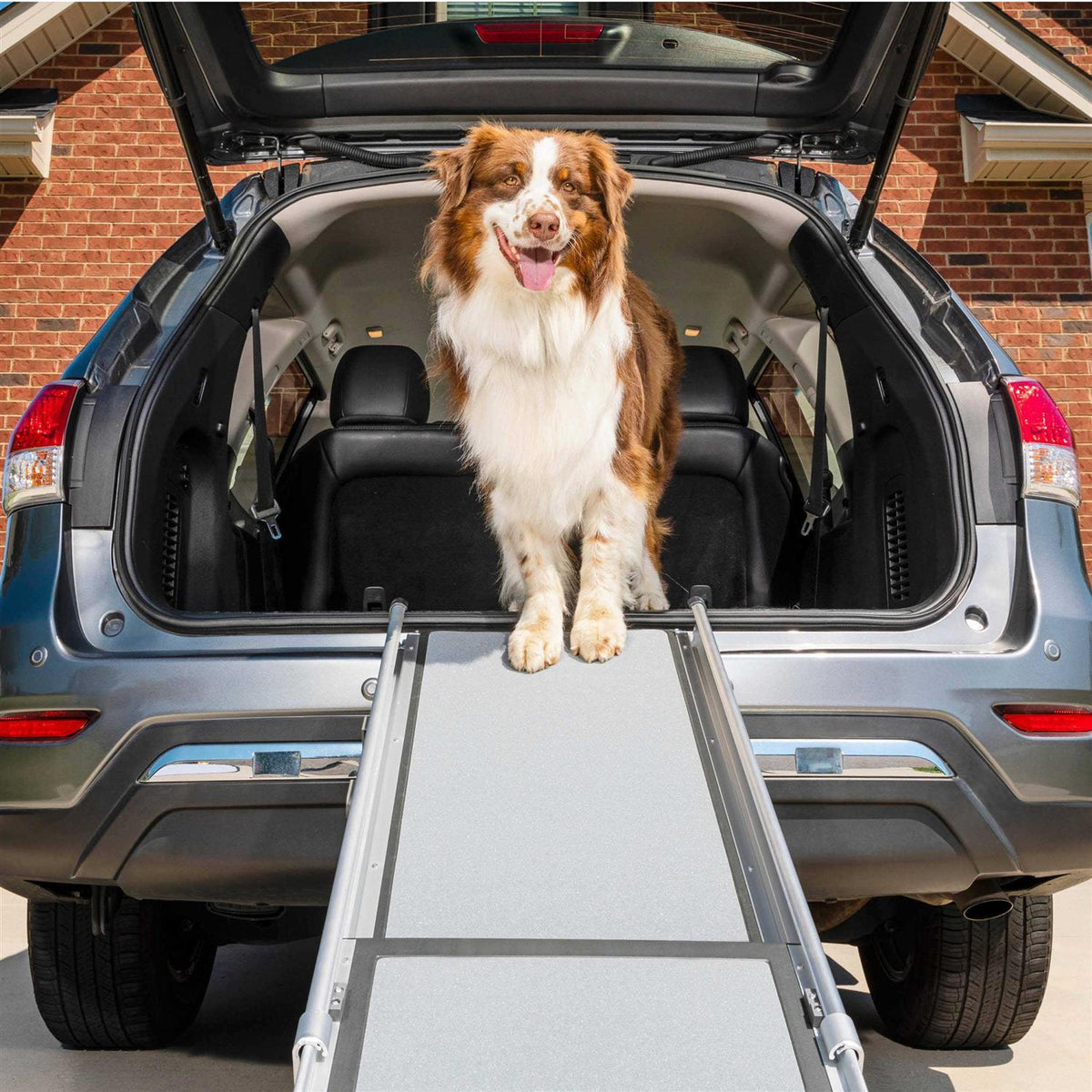 Telescoping Pet Ramp C82650