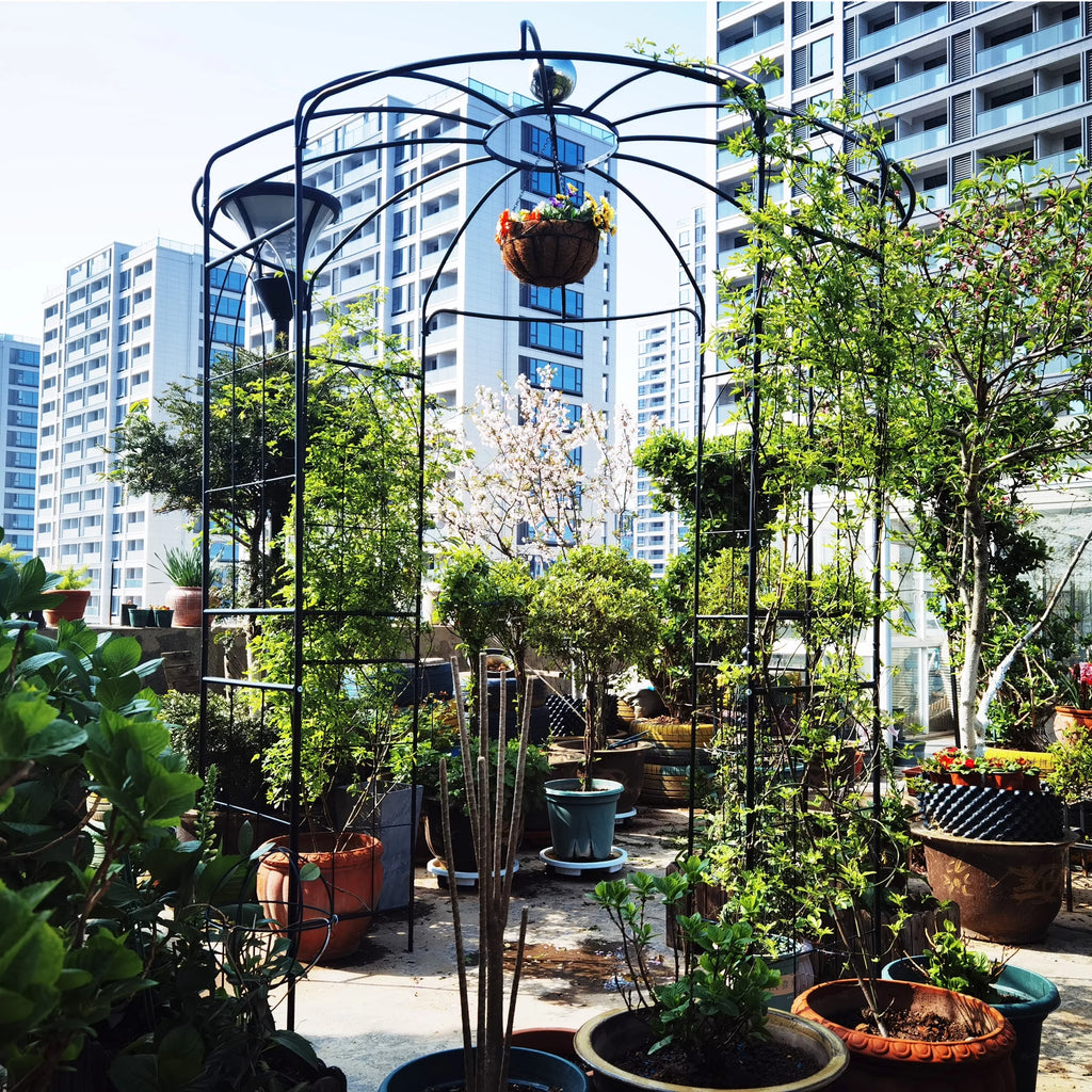 Iron Birdcage-Shaped Metal Garden Arch G767208