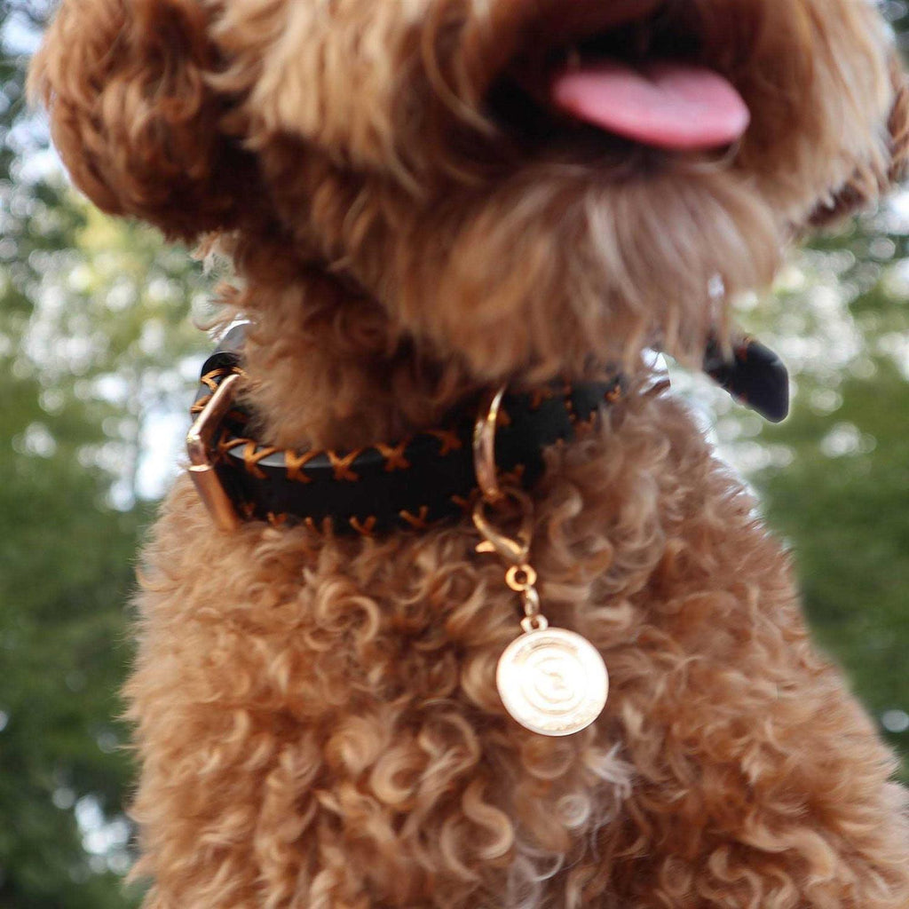 Handcrafted Standard Dog Collar X40861