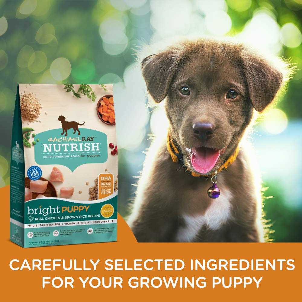 Chicken & Brown Rice Dry Dog Food M115