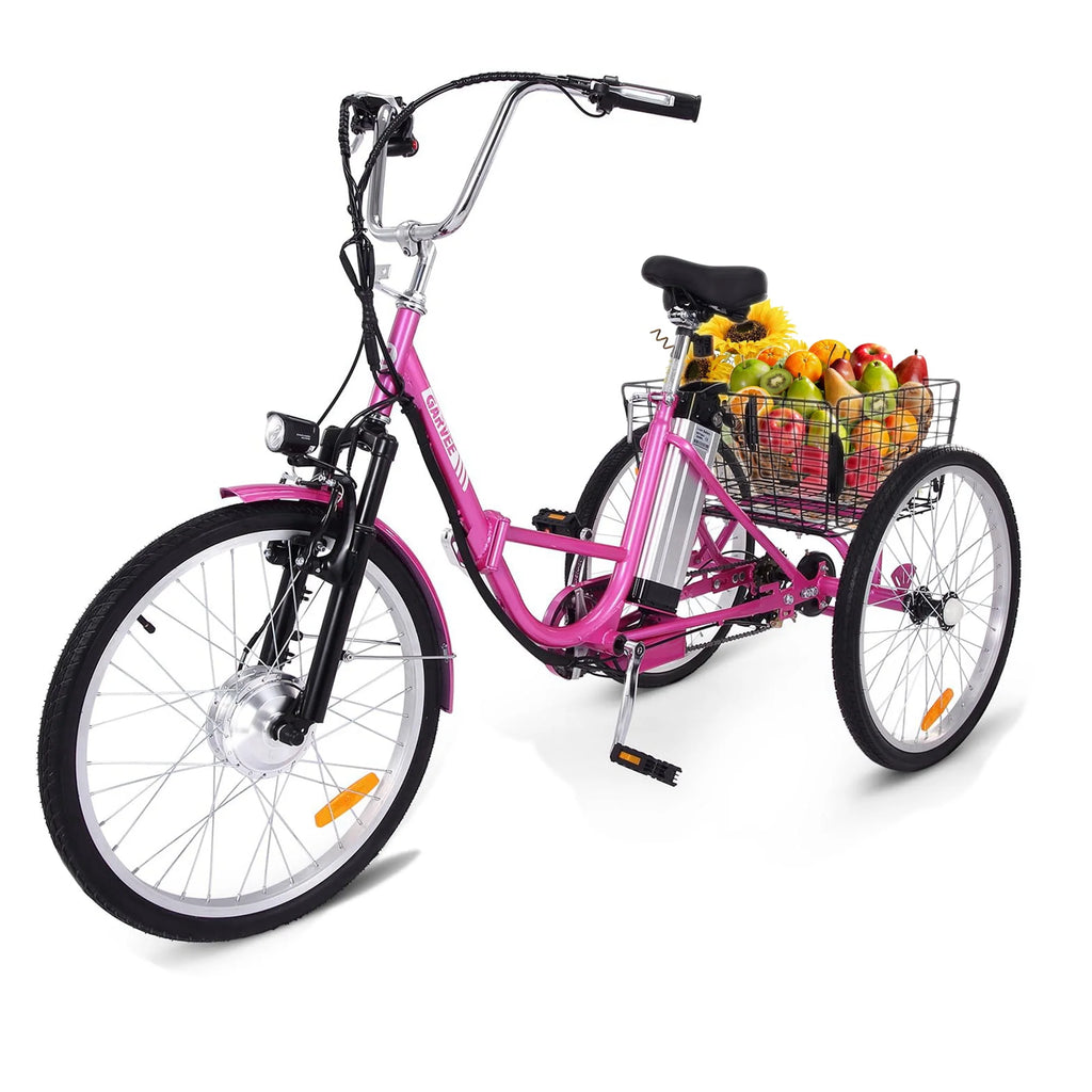 250W 36V 7 Speeds Folding Electric Tricycle B959