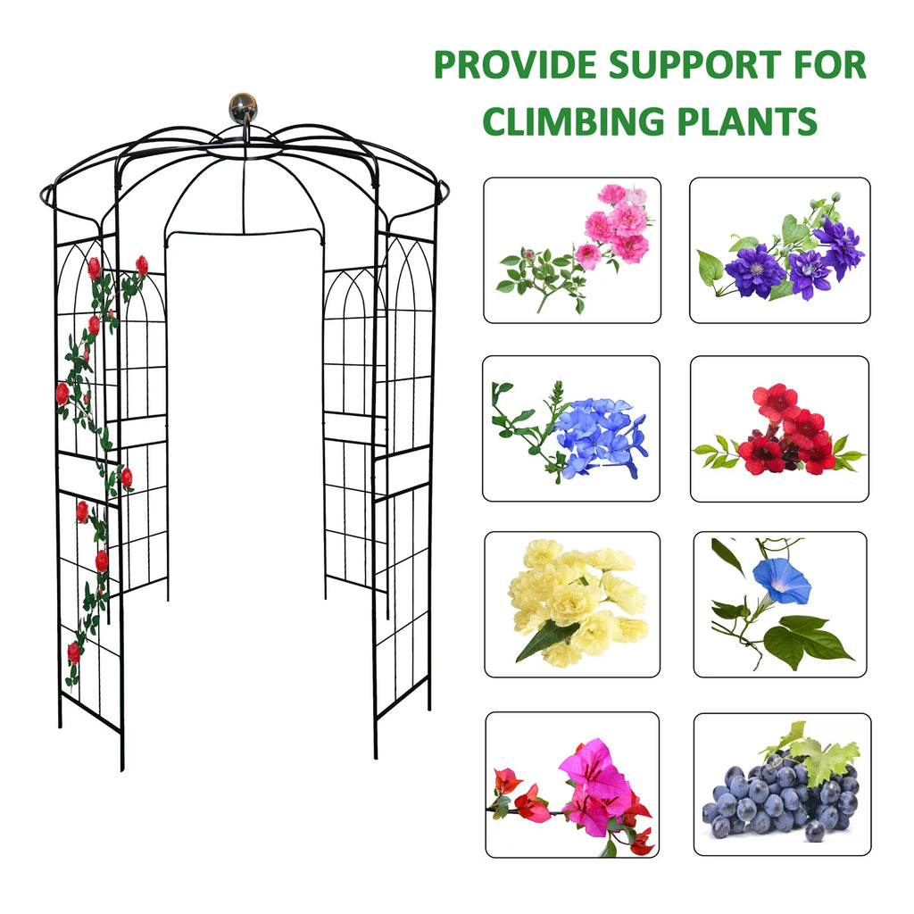 Iron Birdcage-Shaped Metal Garden Arch G767208