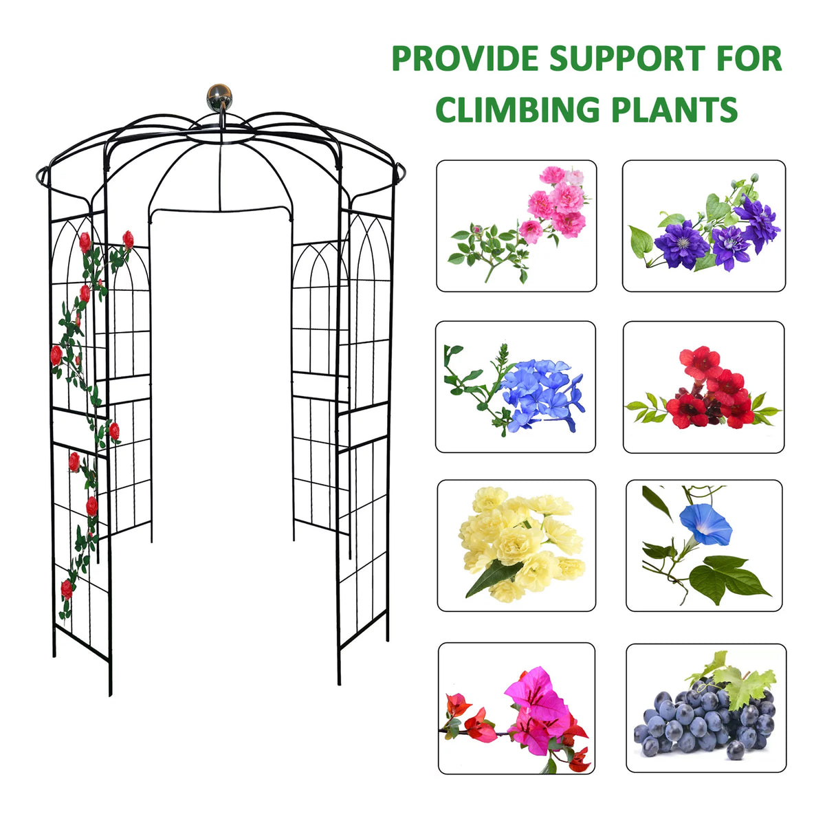 Iron Birdcage-Shaped Metal Garden Arch G767208