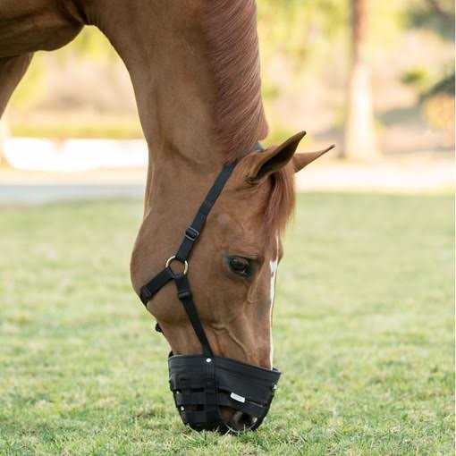 Poly Grazing Muzzle N9832