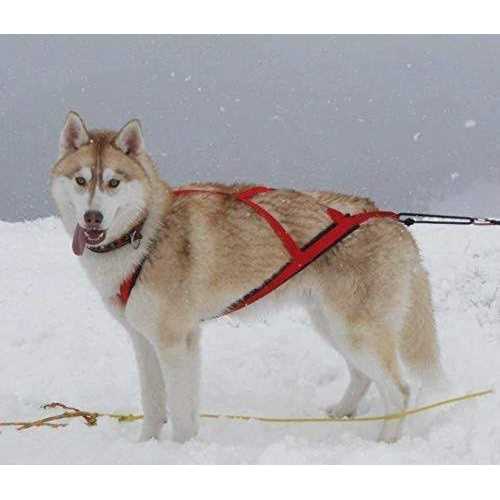 Dog Pulling Harness Z570